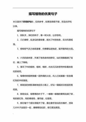 关于植物的优美句子还要有题目？装饰植物图片大全大图唯美