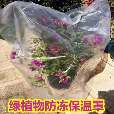 冬天用塑料袋把花罩起来花草会不会闷死？植物什么时候套塑料袋