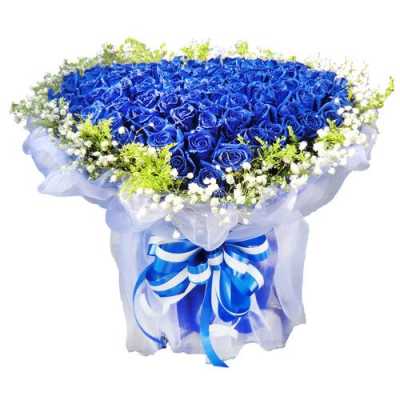 请问12支蓝玫瑰加上满天星的花语是什么意思啊？12月开蓝色花的植物图片-图2