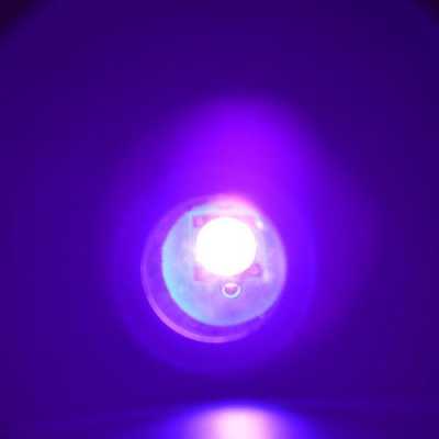 手电筒上的紫色的灯是紫外线吗，真的可以杀菌吗？紫色灯光对植物有什么用途-图1