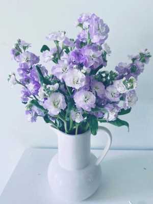 紫罗兰花束花瓶蔫了（紫罗兰花束花瓶蔫了怎么回事）-图2
