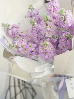 单支紫罗兰花束图片（紫罗兰鲜花多少钱一支）