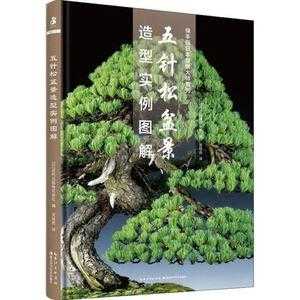 松树盆景制作养护的书籍（松树盆景养护及注意事项）