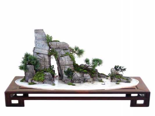 盆景山水欣赏(盆景山水欣赏图片大全)-图3 盆景山水欣赏(盆景山水欣赏图片大全)-图3