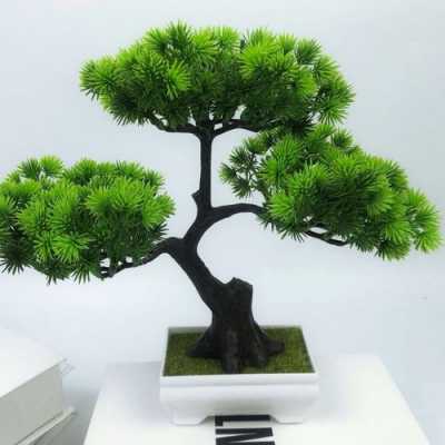 塑料盆景松树（塑料盆景松树图片大全）