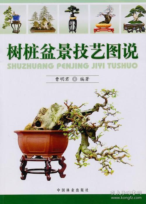 树桩盆景修剪吧（树桩盆景技艺图说）