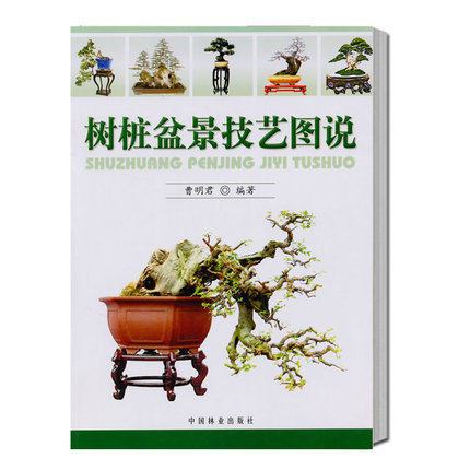 树桩盆景修剪吧(树桩盆景技艺图说)-图3 树桩盆景修剪吧(树桩盆景技艺图说)-图3