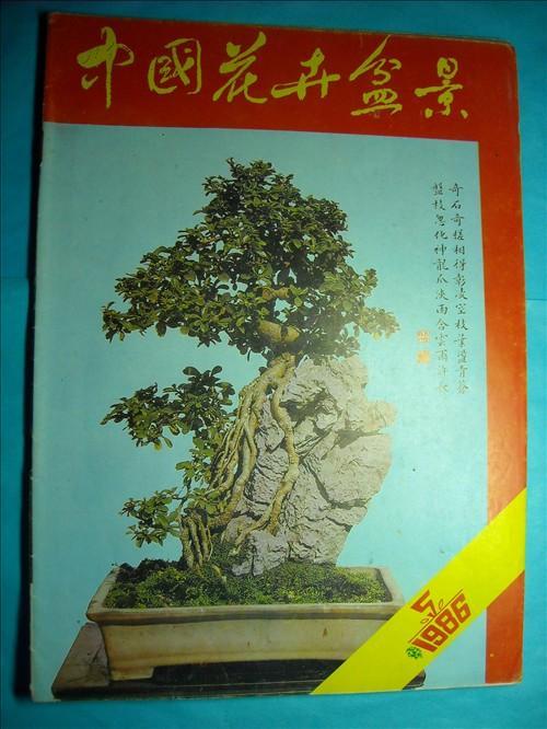 中国花卉盆景官网（中国花卉盆景杂志刊号）