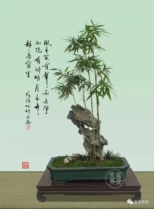 广州艺和竹盆景（广州合艺装饰品有限公司）-图3