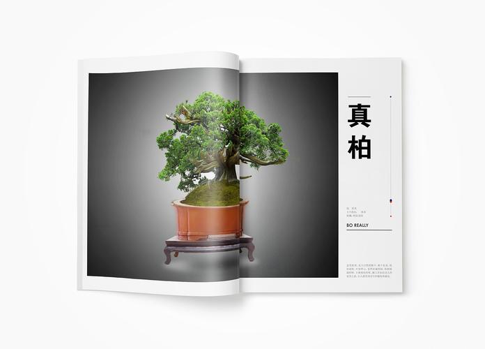 中国花卉盆景花木广告（盆景经典广告）