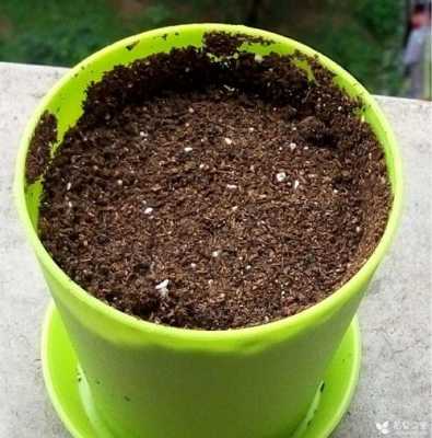 盆栽土如何增加营养（盆栽土如何增加营养成分）