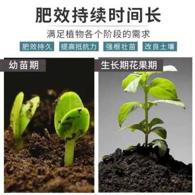 盆栽尿素如何使用方法（盆栽尿素如何使用方法视频）
