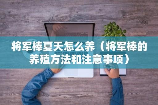 将军棒如何养殖（植物将军棒怎么扦插）