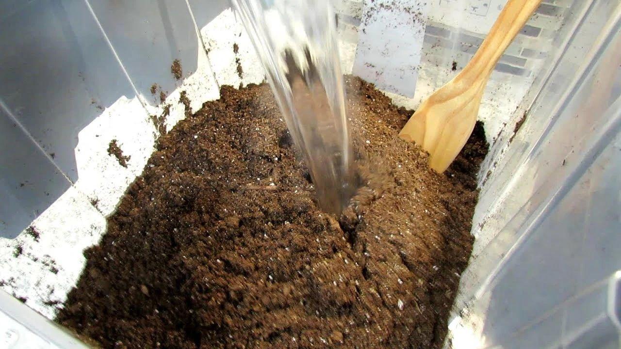 饲养土如何消毒（土壤怎样消毒杀菌再种植）-图3