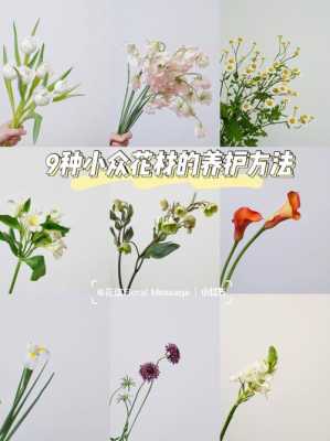 如何养护管理花材(如何养护管理花材的人)-图2 如何养护管理花材(如何养护管理花材的人)-图2