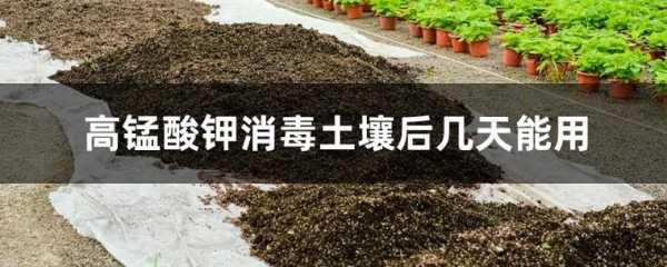 高锰酸钾如何土壤消毒（高锰酸钾土壤消毒好吗）