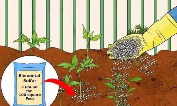 如何降低土壤酸碱度（降低土壤酸性的方法）