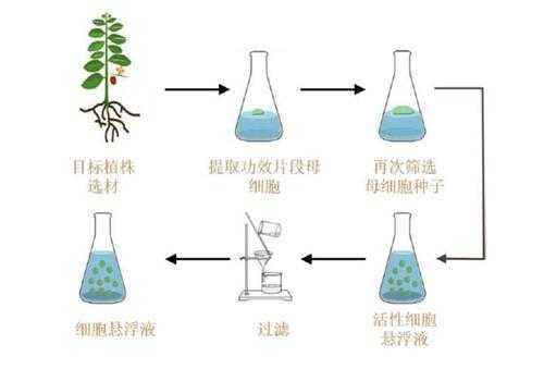 如何自制植物培养液（植物培养基的制备）