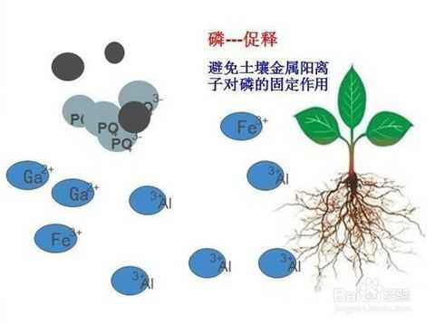 如何制作磷肥钾肥氮肥（怎么样制作磷钾肥）