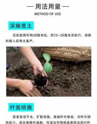 花卉上如何使用尿素（花卉上如何使用尿素肥料）