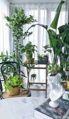 室内植物如何养（室内植物怎么养最好）