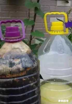 废油如何做肥料（废油施肥种法）