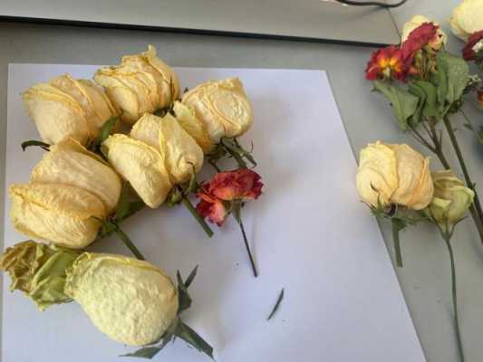 花瓣如何去做干花（花瓣如何去做干花图片）