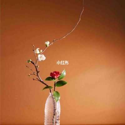 花枝如何插瓶（花枝放在水瓶里怎样能长一点）
