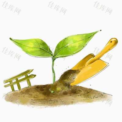 如何为植物松土（给植物松土有利于植物呼吸作用吗）
