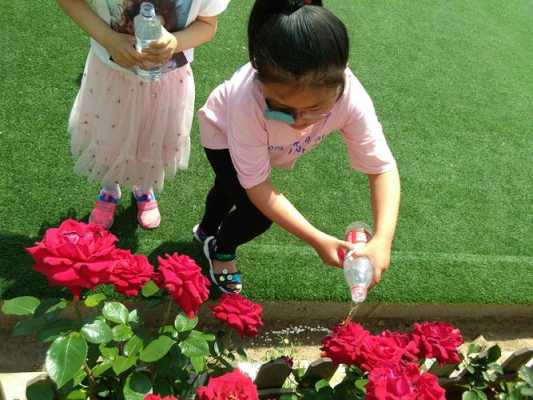花苗如何浇水（小花苗怎么浇水）