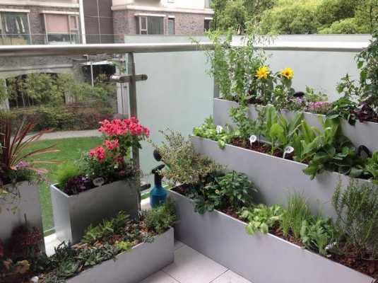 如何打造植物立体阳台（如何打造植物立体阳台图片）